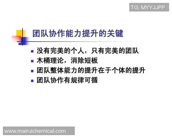 北京羽毛球队联赛表现分析团队协作的重要性与成效探讨 北京羽毛球队联赛表现分析团队协作的重要性与成效探讨