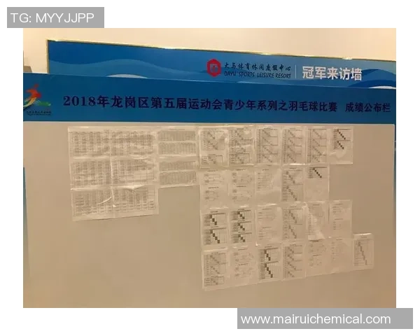 南京羽毛球队节奏表现分析及其对比赛成绩的影响研究 南京羽毛球队节奏表现分析及其对比赛成绩的影响研究