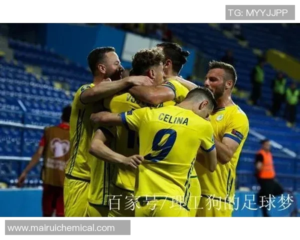 广州羽毛球队在欧锦赛中的战术分析与表现评估 广州羽毛球队在欧锦赛中的战术分析与表现评估