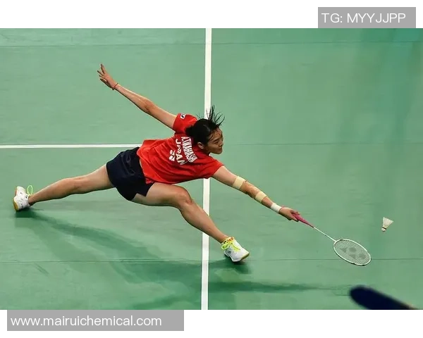 武汉羽毛球队实力飙升力量排名创历史新高引发关注