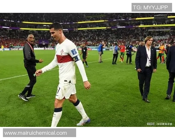 足球明星全景图鉴尽览全球球星风采与传奇瞬间 足球明星全景图鉴尽览全球球星风采与传奇瞬间