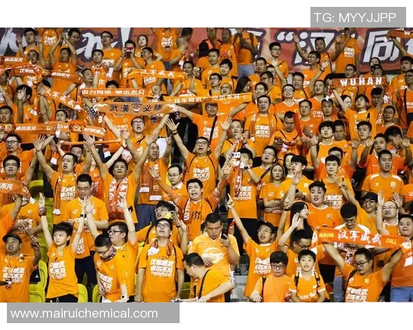 武汉篮球队灵活性强劲表现荣登全国第二名引发关注