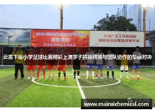 云霄下坂小学足球比赛精彩上演学子拼搏精神与团队协作的华丽对决