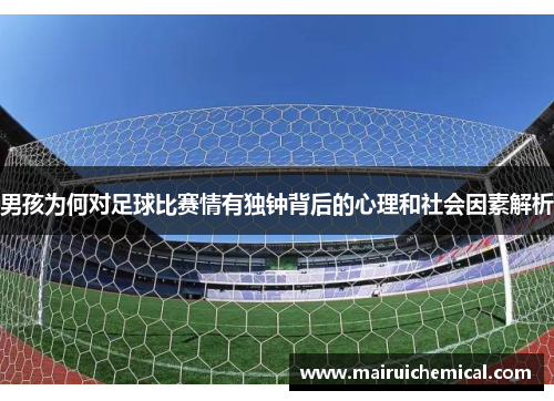 男孩为何对足球比赛情有独钟背后的心理和社会因素解析