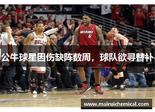 公牛球星因伤缺阵数周，球队欲寻替补