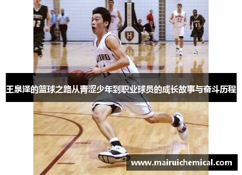 王泉泽的篮球之路从青涩少年到职业球员的成长故事与奋斗历程