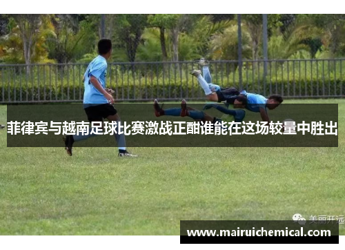 菲律宾与越南足球比赛激战正酣谁能在这场较量中胜出