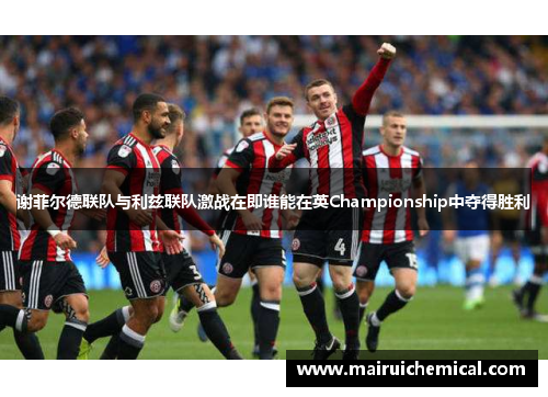 谢菲尔德联队与利兹联队激战在即谁能在英Championship中夺得胜利