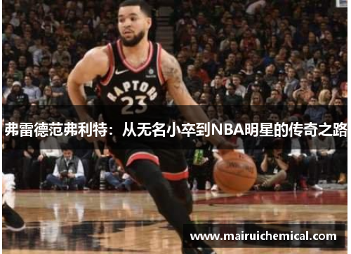 弗雷德范弗利特：从无名小卒到NBA明星的传奇之路